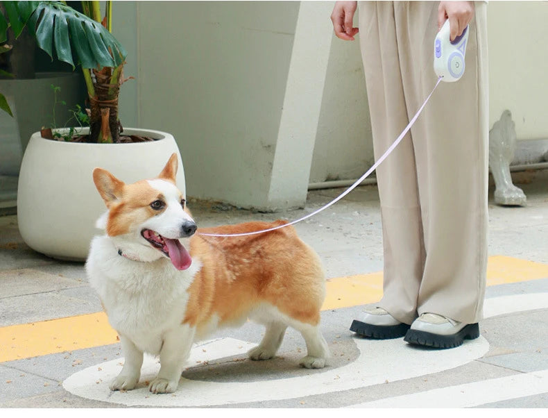 Hundeleine mit Lichtern, für kleine und mittelgroße Hunde, automatisch einziehbare Hundeleine, Teddy-Reise-Haustierbedarf, Zubehör