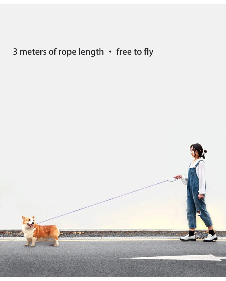 Hundeleine mit Lichtern, für kleine und mittelgroße Hunde, automatisch einziehbare Hundeleine, Teddy-Reise-Haustierbedarf, Zubehör