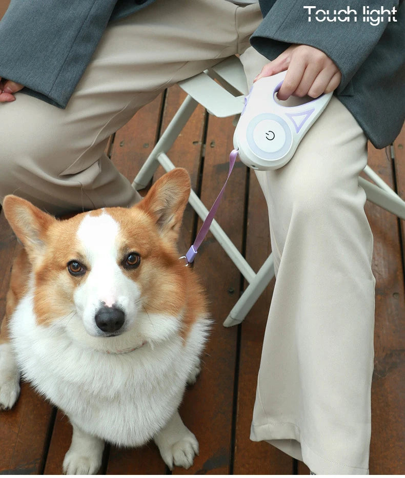 Hundeleine mit Lichtern, für kleine und mittelgroße Hunde, automatisch einziehbare Hundeleine, Teddy-Reise-Haustierbedarf, Zubehör