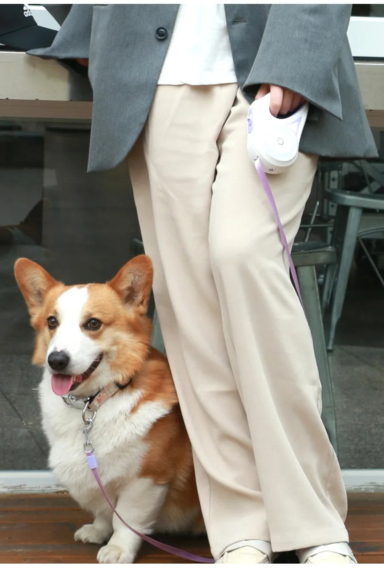 Hundeleine mit Lichtern, für kleine und mittelgroße Hunde, automatisch einziehbare Hundeleine, Teddy-Reise-Haustierbedarf, Zubehör