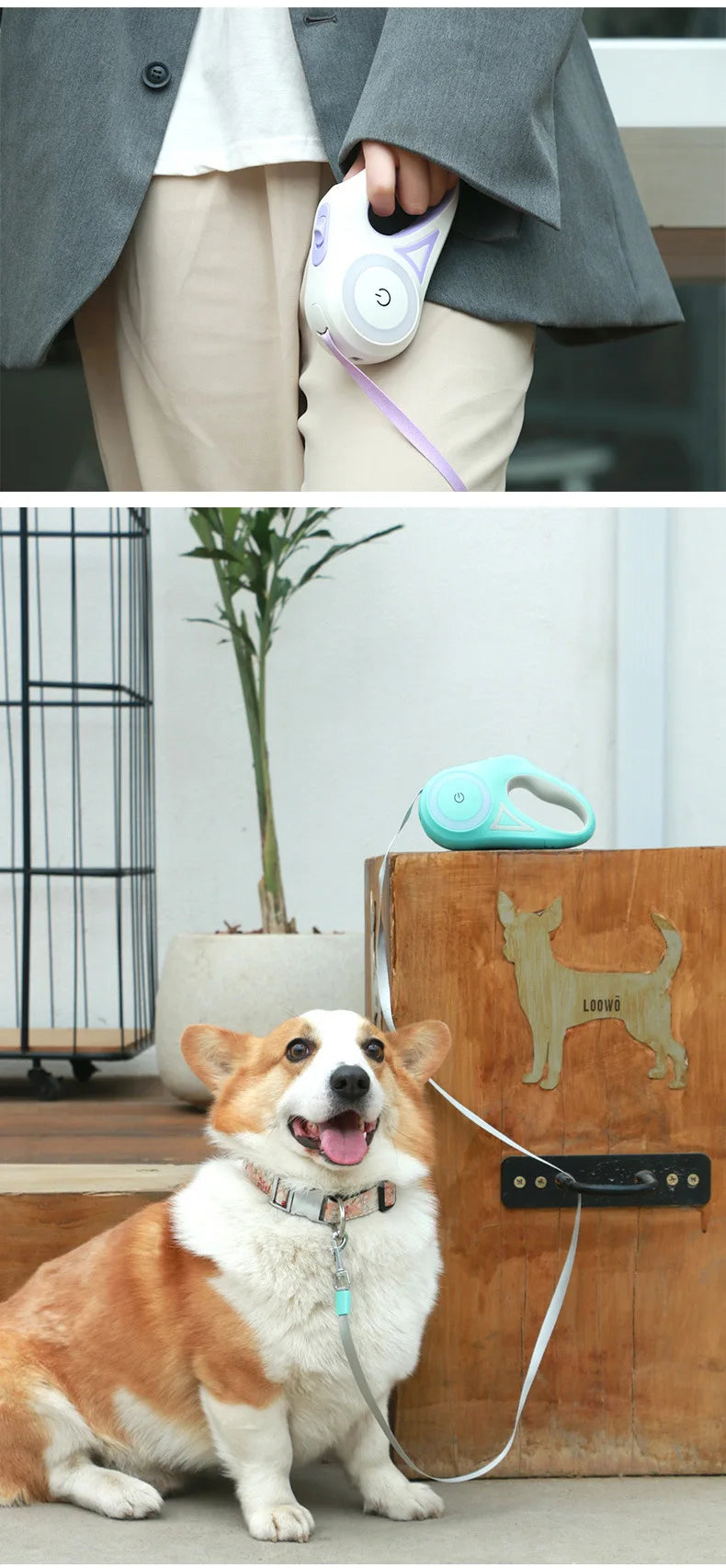 Hundeleine mit Lichtern, für kleine und mittelgroße Hunde, automatisch einziehbare Hundeleine, Teddy-Reise-Haustierbedarf, Zubehör