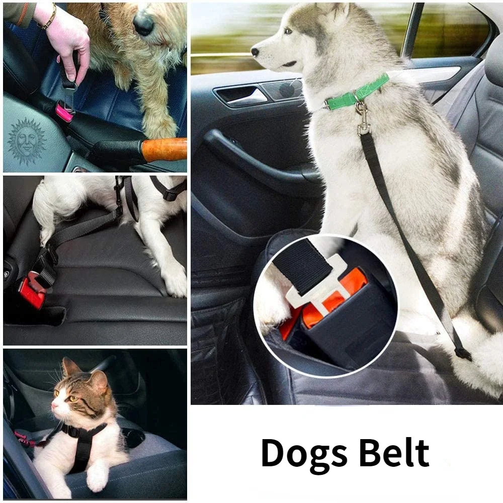 Einstellbare Haustier Katze Hund Auto Sitz Gürtel Haustier Sitz Fahrzeug Hundegeschirr Blei Clip Sicherheitshebel Traktion Hundehalsbänder Hund Zubehör