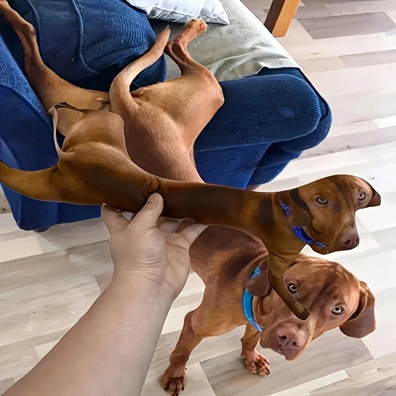 Ein anpassbares Haustierkissen, personalisiertes 3D-Porträt-Plüschtier für Katzen und Hunde, Mini-Tierkissenspielzeug