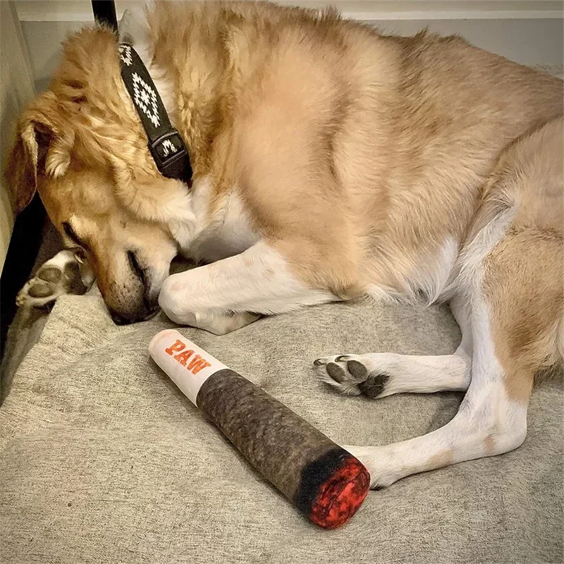 Süße Geschenke für Hundegeburtstag, Gelenkspielzeug für Hunde, lustig, interaktiv