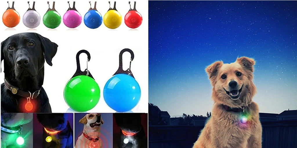 Neues LED-Leucht-Hundehalsband aus PVC, wasserdicht, für große, mittelgroße und kleine Hunde, USB-Licht, Nachtsicherheit, leuchtendes Haustierzubehör