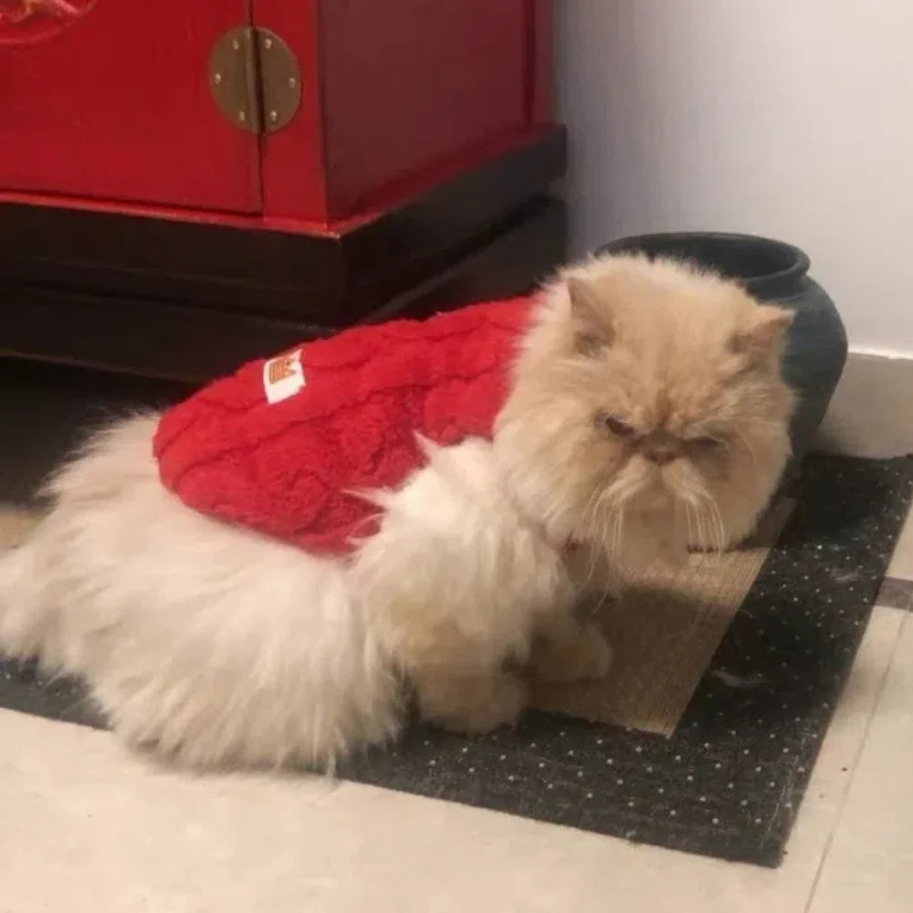 Weiche Fleece-Hundekleidung für kleine Hunde, Katzen, Pullover, Herbst und Winter, warme Welpenweste, Bekleidung, französische Bulldogge, Yorkshire-Haustierkostüm