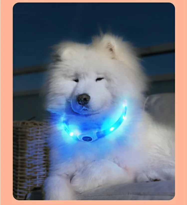 Neues LED-Leucht-Hundehalsband aus PVC, wasserdicht, für große, mittelgroße und kleine Hunde, USB-Licht, Nachtsicherheit, leuchtendes Haustierzubehör