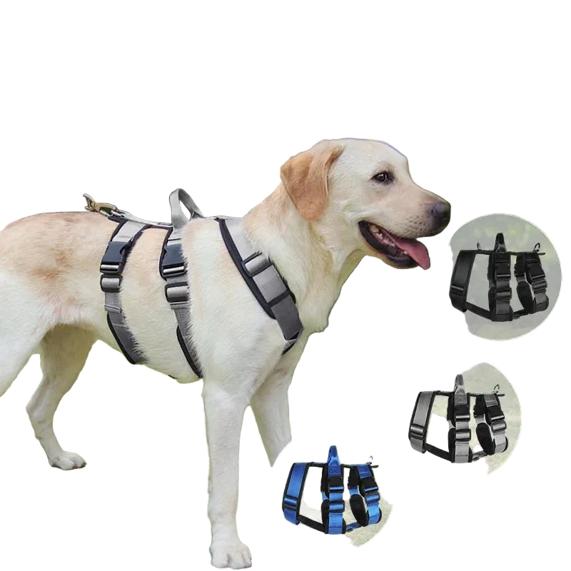 Anti-Zug Hundegeschirr – robust & bequem für mittelgroße und große Hunde