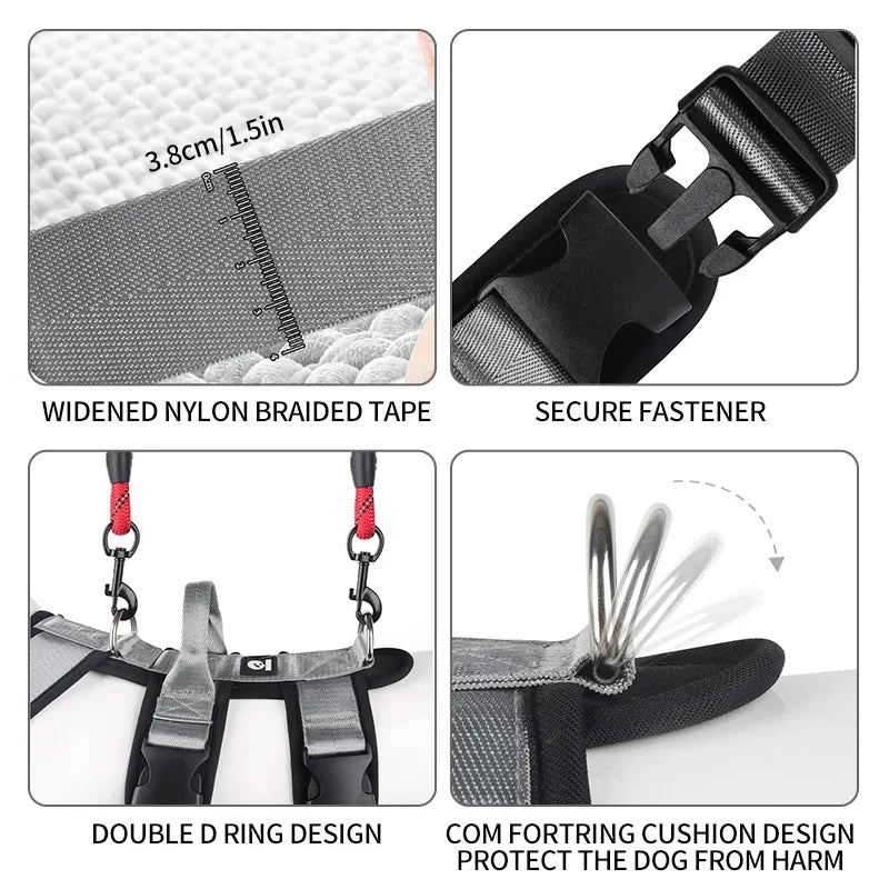Anti-Zug Hundegeschirr – robust & bequem für mittelgroße und große Hunde