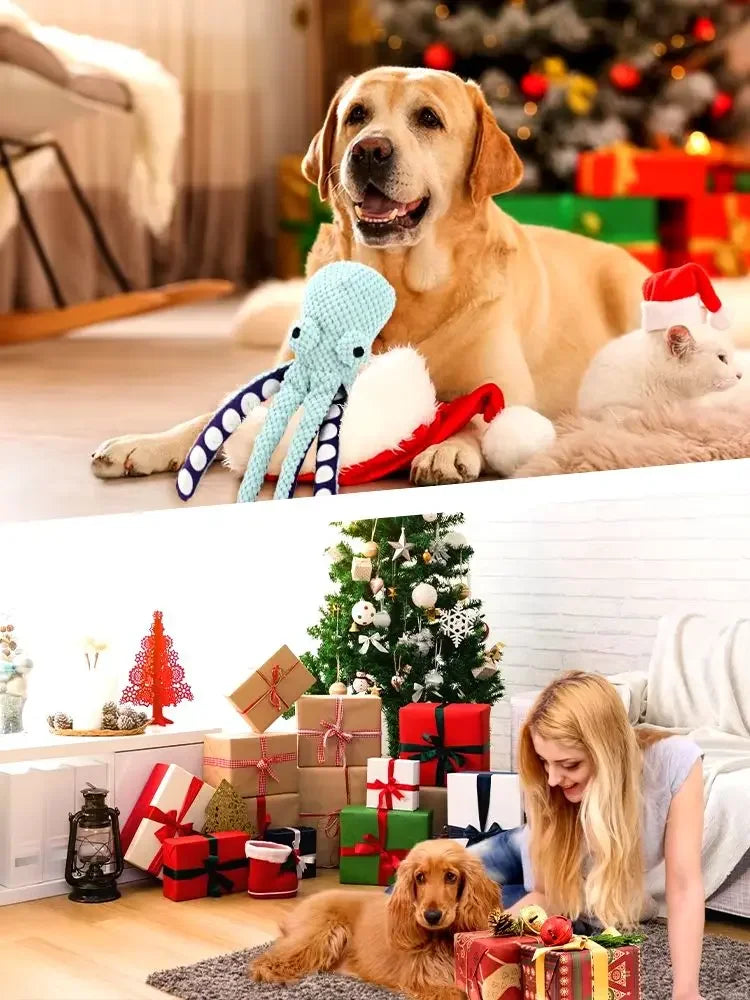 Quietschendes Plüsch-Hundespielzeug – Süßes Geschenk für Hunde | 1er & 2er Set