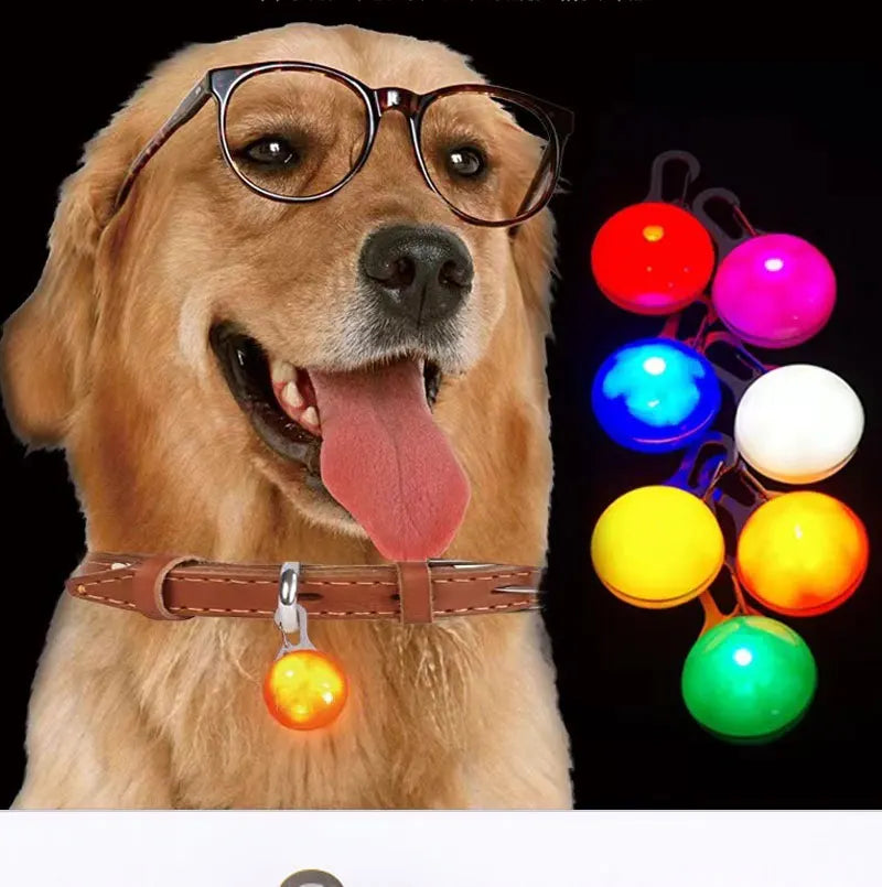 LED-beleuchtetes Hundehalsband – langlebige Batterie für die Sicherheit von Abendspaziergängen