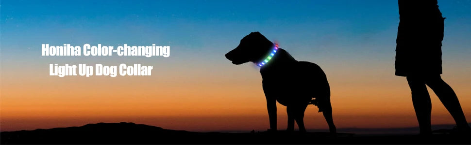 Neues LED-Leucht-Hundehalsband aus PVC, wasserdicht, für große, mittelgroße und kleine Hunde, USB-Licht, Nachtsicherheit, leuchtendes Haustierzubehör