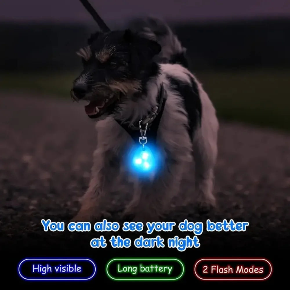 LED Haustier Anhänger Halsband wasserdichte Hunde halsband Licht für Outdoor Walking Sicherheit Silikon LED Hunde halsband Hunde marke Batterie enthalten