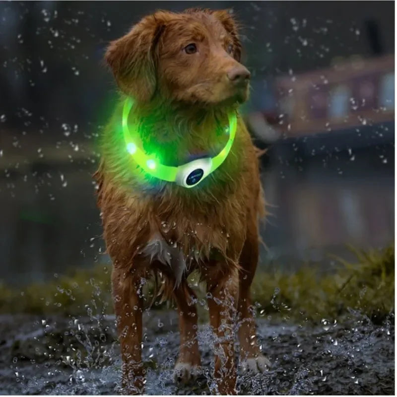 Neues LED-Leucht-Hundehalsband aus PVC, wasserdicht, für große, mittelgroße und kleine Hunde, USB-Licht, Nachtsicherheit, leuchtendes Haustierzubehör