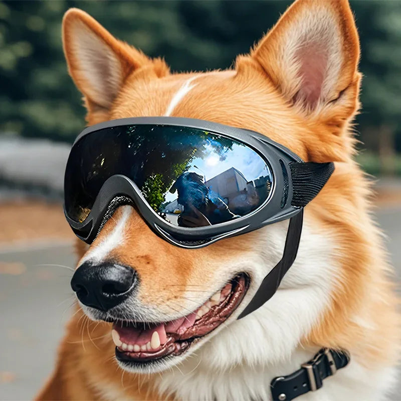 Haustier verstellbare Hundebrille Sonnenbrille Anti-UV-Sonnenbrille Augenschutz