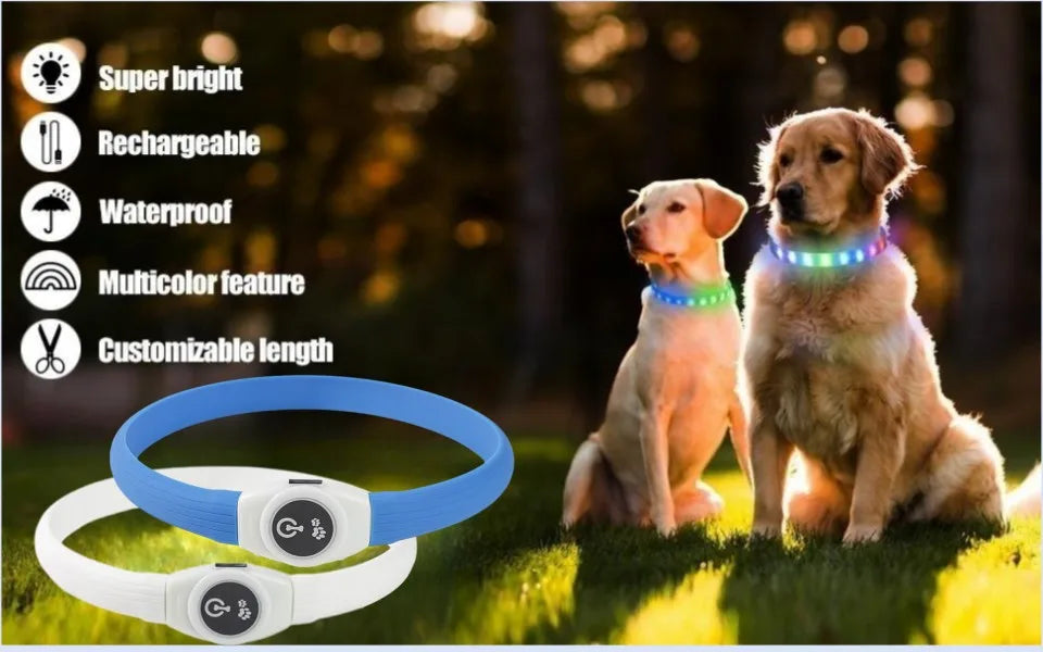 Neues LED-Leucht-Hundehalsband aus PVC, wasserdicht, für große, mittelgroße und kleine Hunde, USB-Licht, Nachtsicherheit, leuchtendes Haustierzubehör
