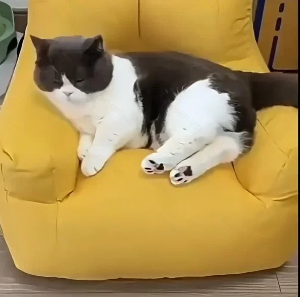 Kuscheliges Katzenschlafsofa mit abnehmbarem Bezug – weiches Katzenbett, rutschfest, für Katzen & kleine Haustiere