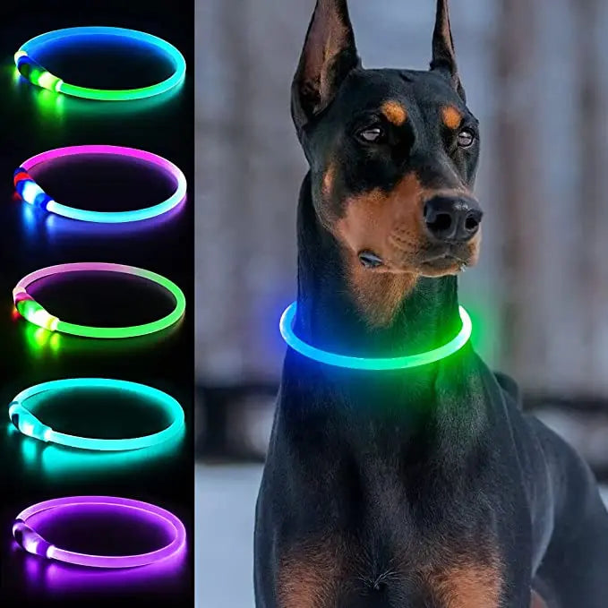 Neues LED-Leucht-Hundehalsband aus PVC, wasserdicht, für große, mittelgroße und kleine Hunde, USB-Licht, Nachtsicherheit, leuchtendes Haustierzubehör