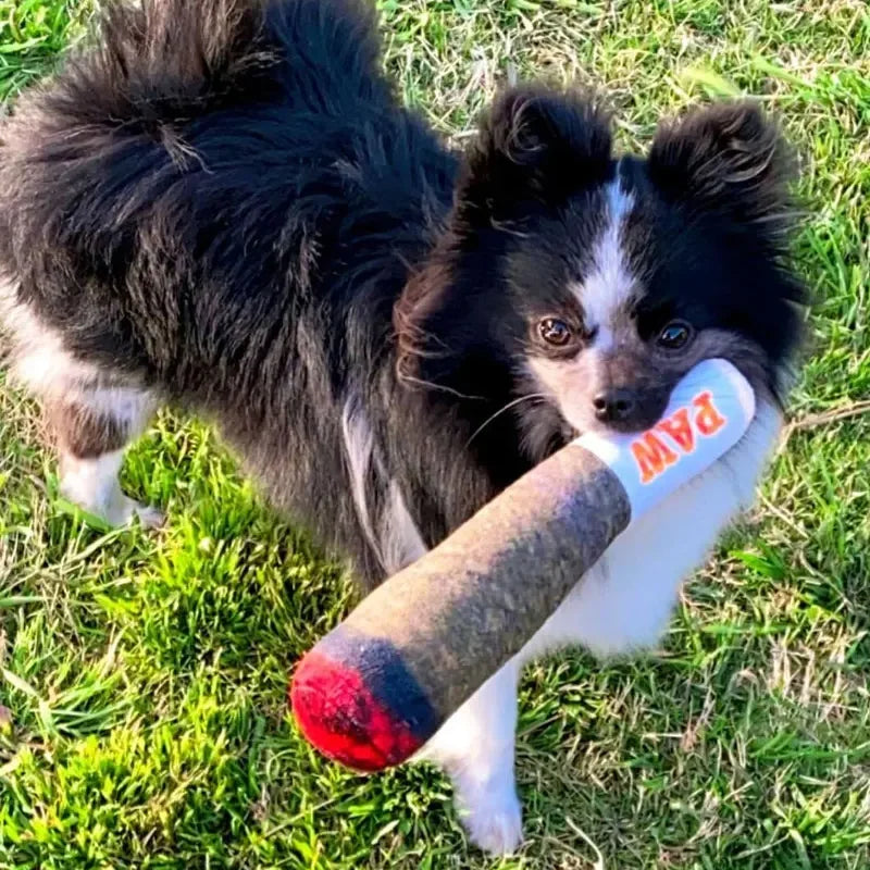Süße Geschenke für Hundegeburtstag, Gelenkspielzeug für Hunde, lustig, interaktiv