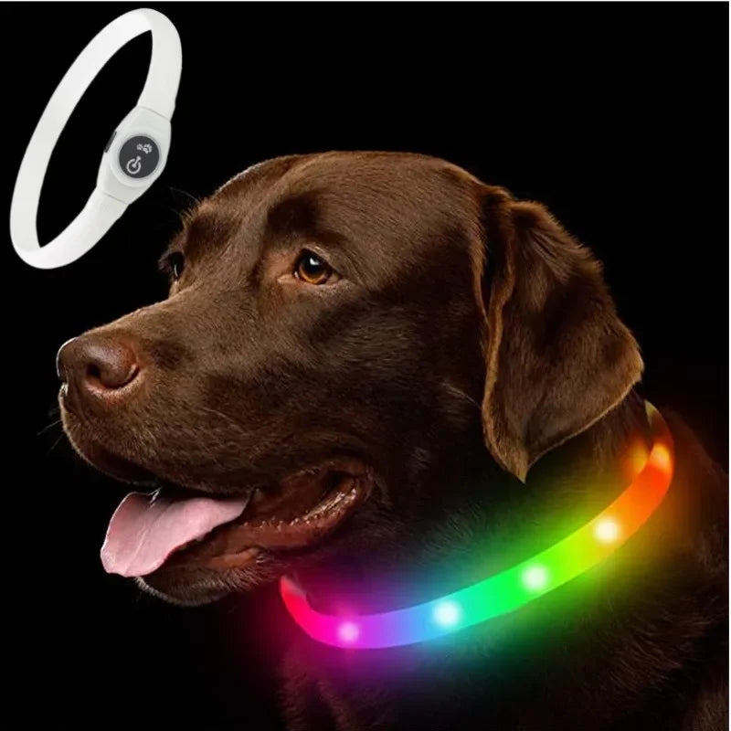 Neues LED-Leucht-Hundehalsband aus PVC, wasserdicht, für große, mittelgroße und kleine Hunde, USB-Licht, Nachtsicherheit, leuchtendes Haustierzubehör