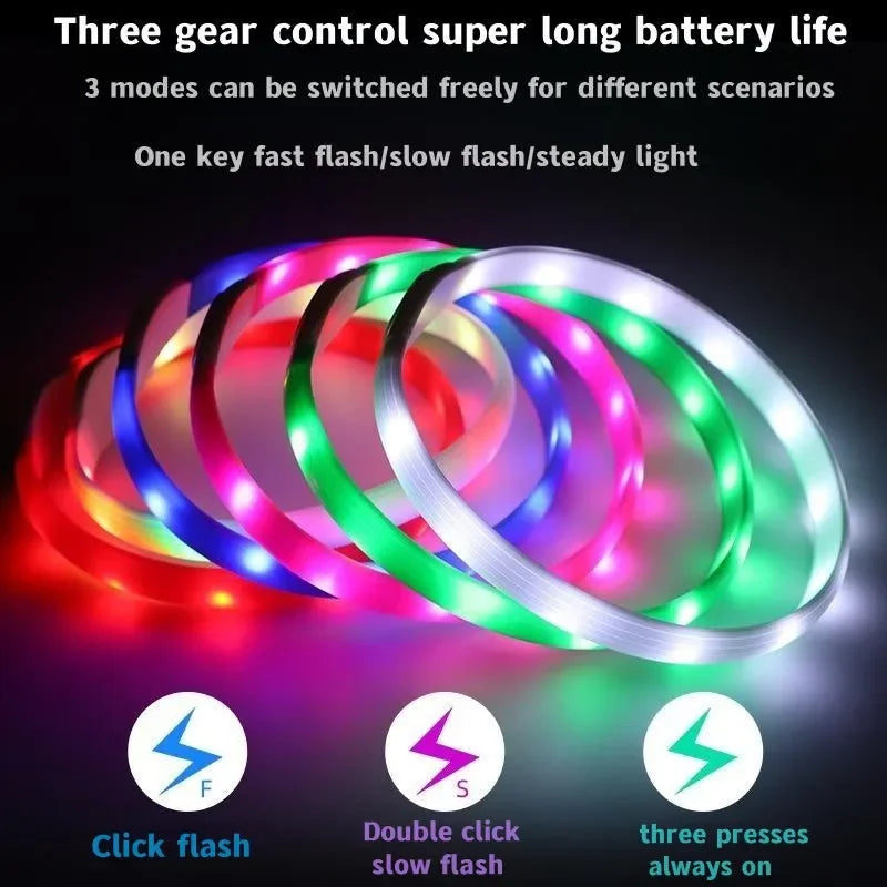 Neues LED-Leucht-Hundehalsband aus PVC, wasserdicht, für große, mittelgroße und kleine Hunde, USB-Licht, Nachtsicherheit, leuchtendes Haustierzubehör