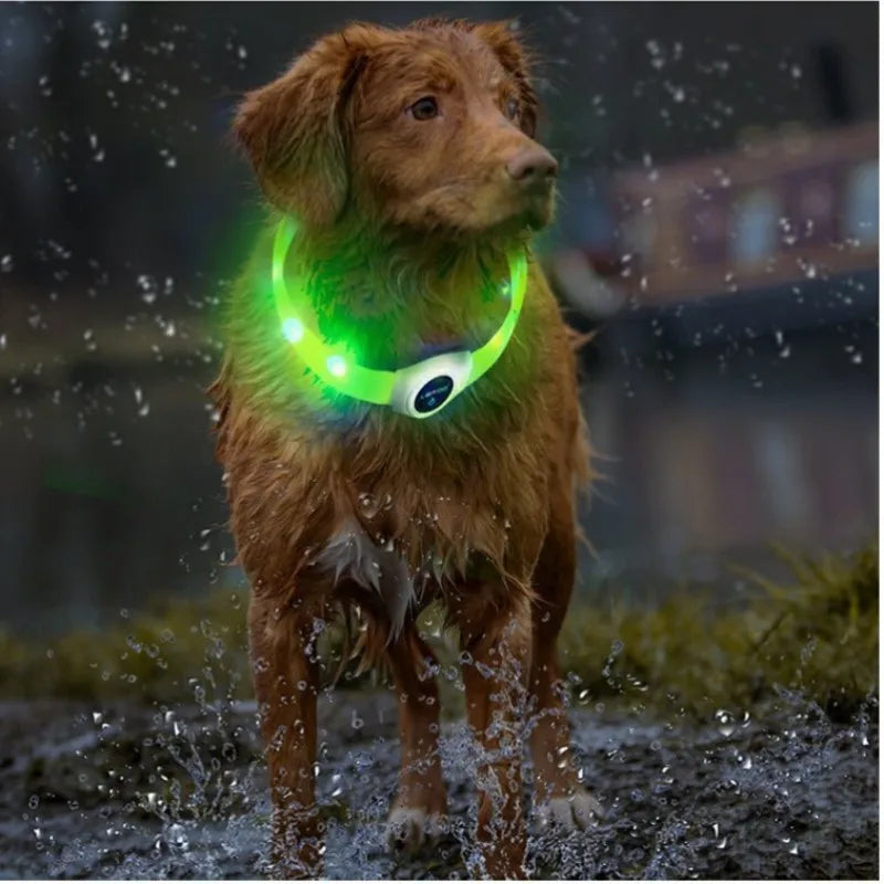 Neues LED-Leucht-Hundehalsband aus PVC, wasserdicht, für große, mittelgroße und kleine Hunde, USB-Licht, Nachtsicherheit, leuchtendes Haustierzubehör