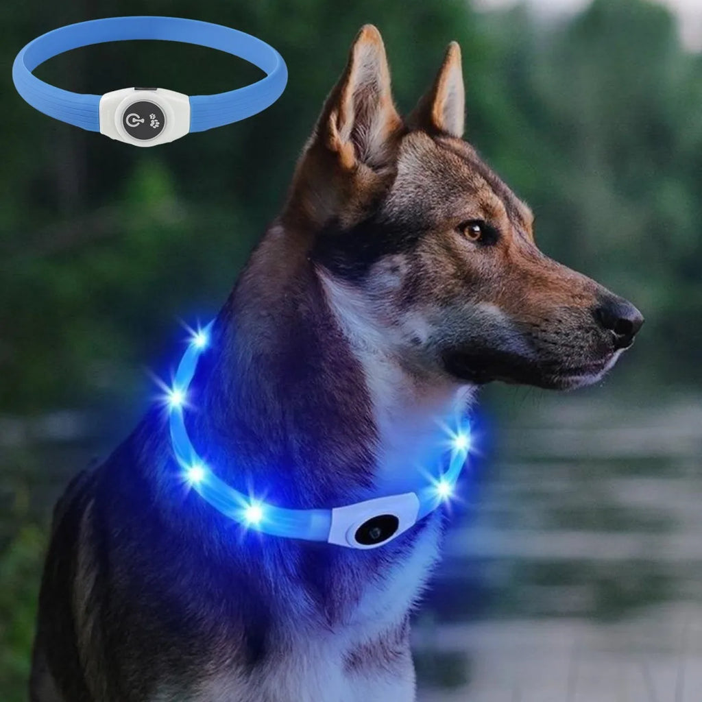 Neues LED-Leucht-Hundehalsband aus PVC, wasserdicht, für große, mittelgroße und kleine Hunde, USB-Licht, Nachtsicherheit, leuchtendes Haustierzubehör