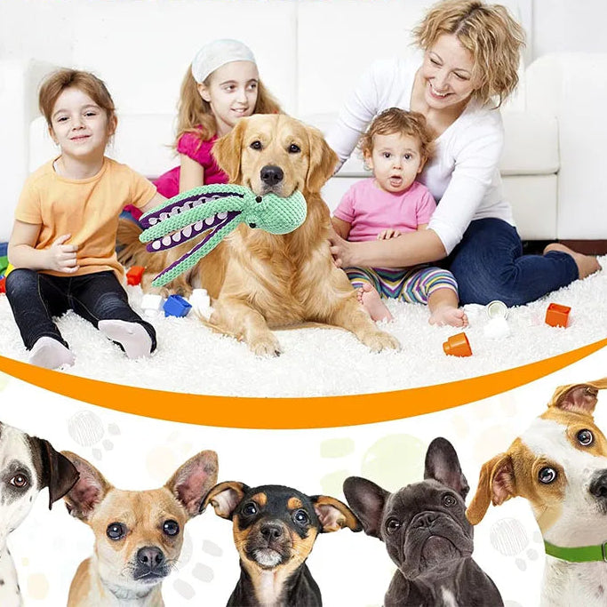 Quietschendes Plüsch-Hundespielzeug – Süßes Geschenk für Hunde | 1er & 2er Set