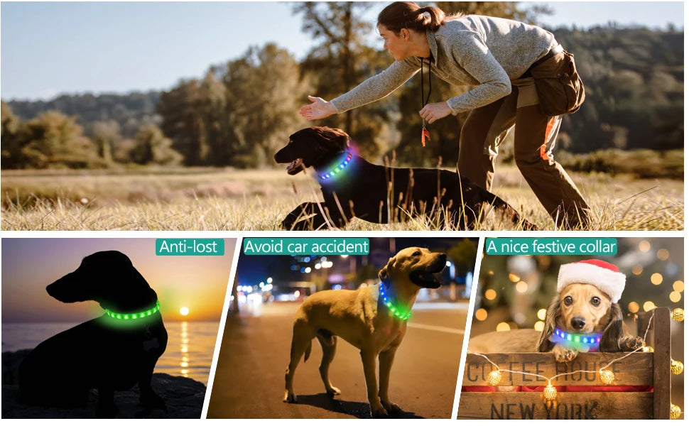 Neues LED-Leucht-Hundehalsband aus PVC, wasserdicht, für große, mittelgroße und kleine Hunde, USB-Licht, Nachtsicherheit, leuchtendes Haustierzubehör