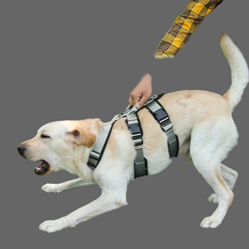 Anti-Zug Hundegeschirr – robust & bequem für mittelgroße und große Hunde