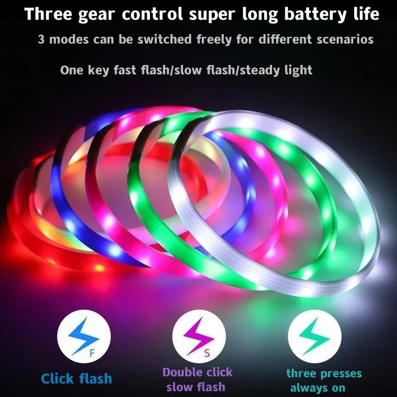 Neues LED-Leucht-Hundehalsband aus PVC, wasserdicht, für große, mittelgroße und kleine Hunde, USB-Licht, Nachtsicherheit, leuchtendes Haustierzubehör