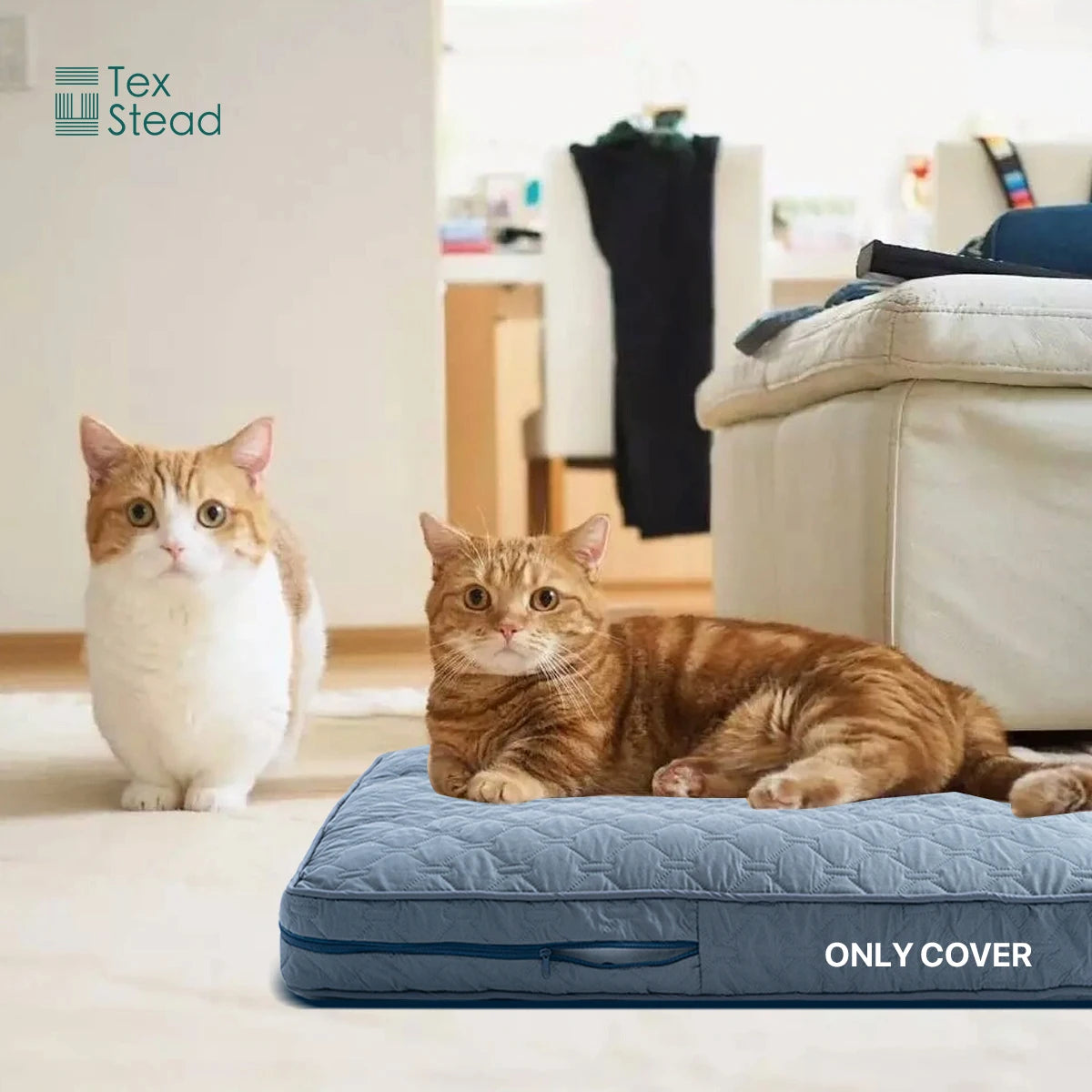 Hundebett-Abdeckung wasserdicht & waschbar | Kreis Ps Plus