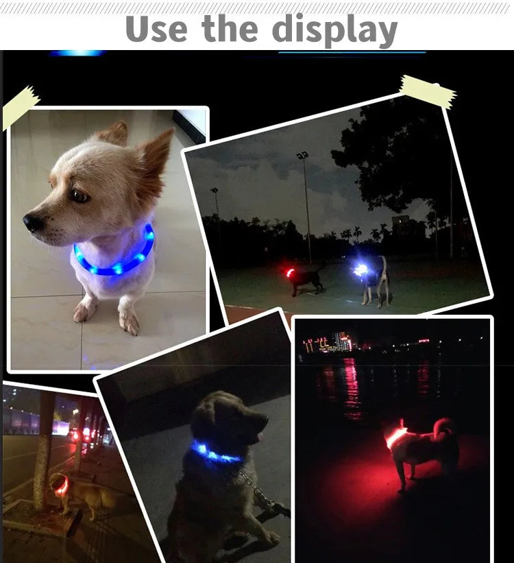 Neues LED-Leucht-Hundehalsband aus PVC, wasserdicht, für große, mittelgroße und kleine Hunde, USB-Licht, Nachtsicherheit, leuchtendes Haustierzubehör