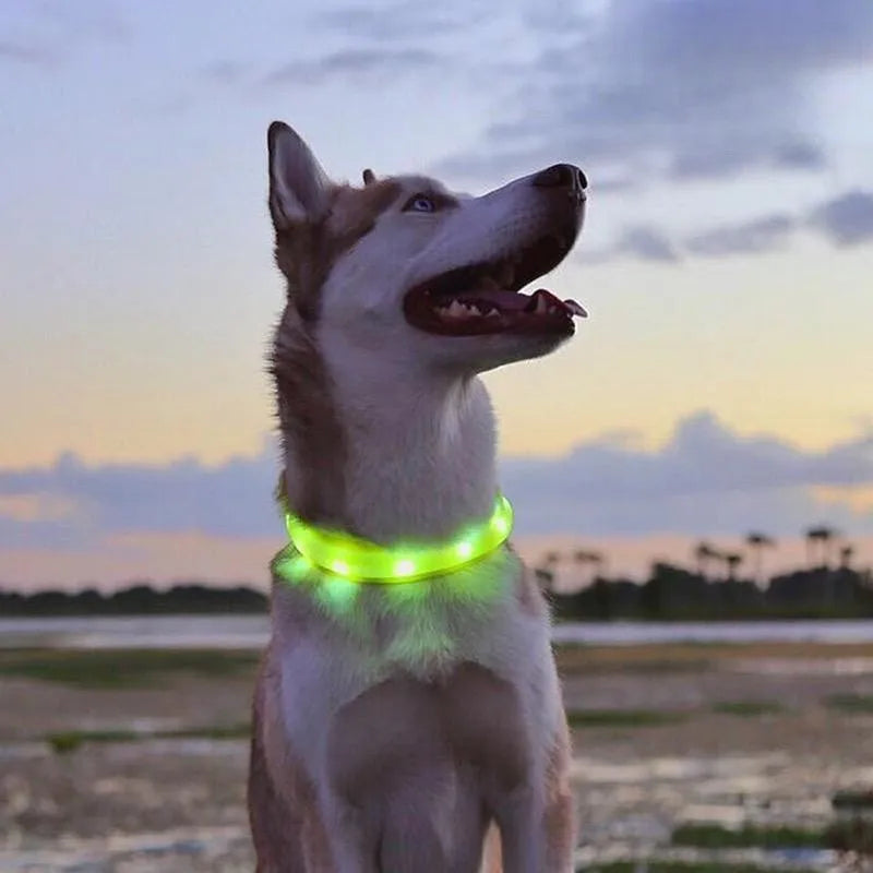 Neues LED-Leucht-Hundehalsband aus PVC, wasserdicht, für große, mittelgroße und kleine Hunde, USB-Licht, Nachtsicherheit, leuchtendes Haustierzubehör